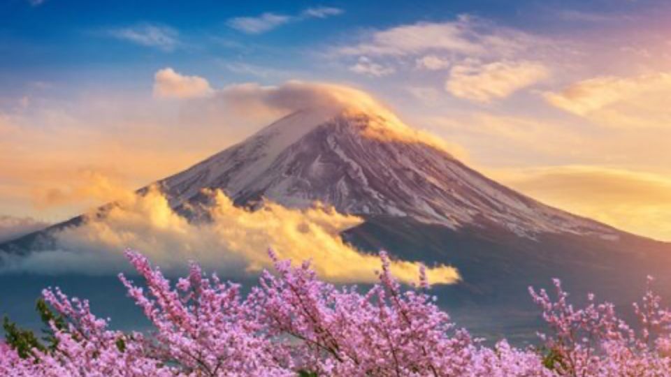 From Tokyo: Customizable Mount Fuji Full-Day Private Tour - Transportation and Accessibility