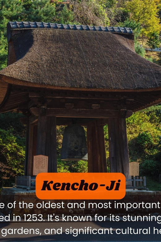 From Tokyo: Kamakura, Hachimangu, Enoshima Private Day Trip - Transportation and Accessibility