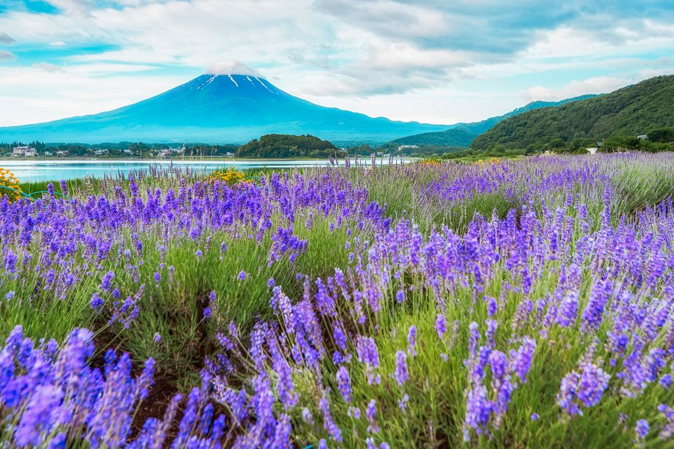 From Tokyo: Mount Fuji Full-Day Sightseeing Trip - Inclusions and Pricing