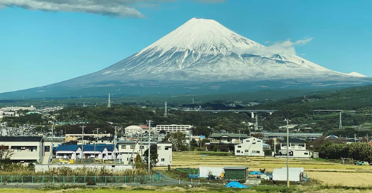 From Tokyo: Mount Fuji & Hakone Trip With English Driver - Transportation and Amenities