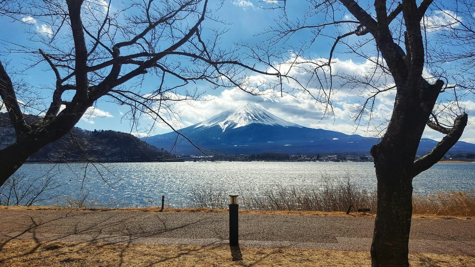 From Tokyo: Mt. Fuji or Hakone Sightseeing Private Day Tour - Fuji Subaru Line 5th Station