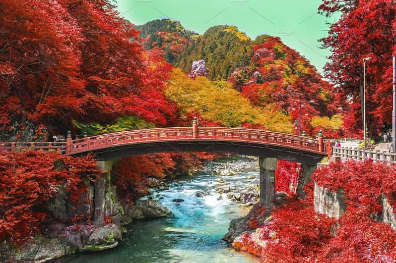 From Tokyo: Nikko Private Day Trip With English Guide - Experience and Activities