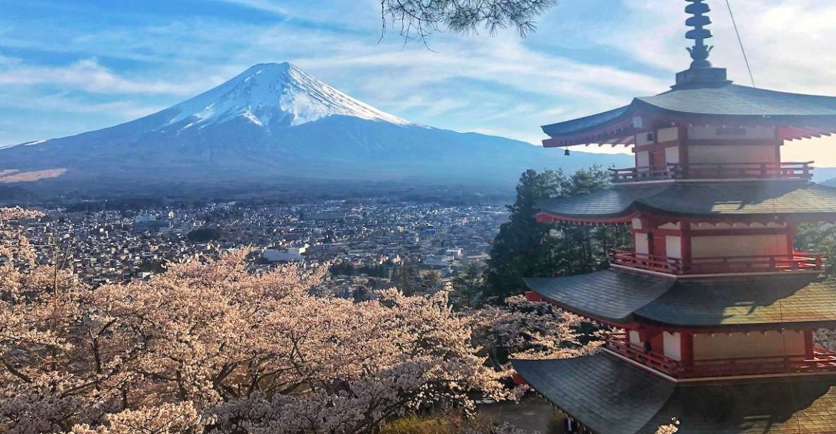 From Tokyo: Private Trip to Mount Fuji and Lake Kawaguchi - Included Services