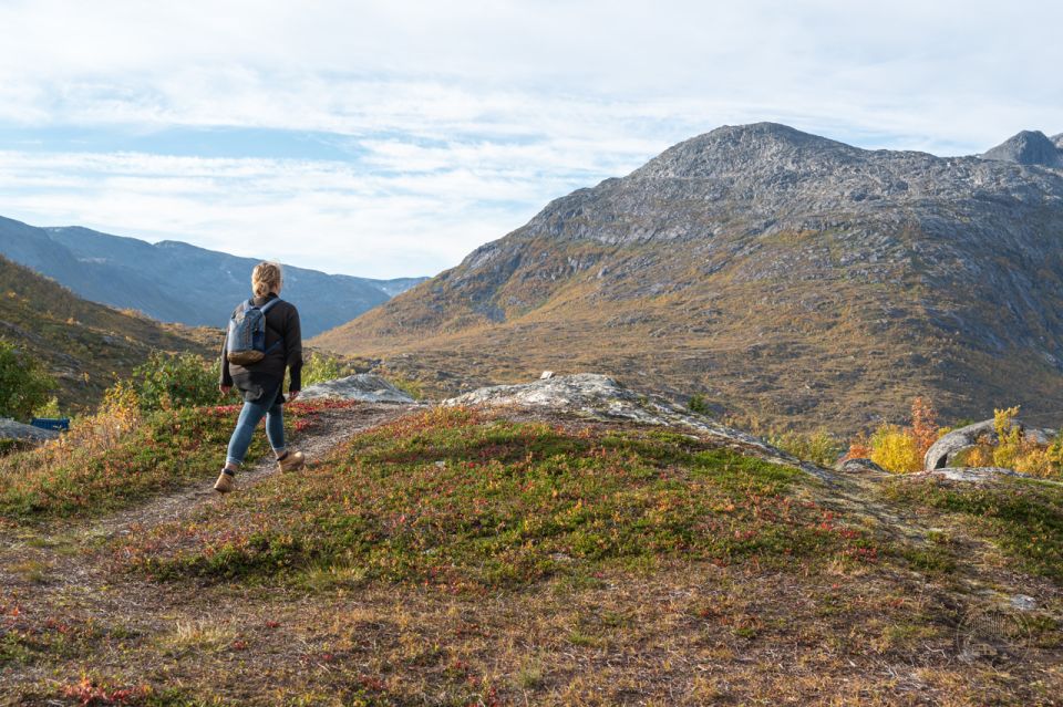 From Tromsø: Arctic Roadtrip - Indulge in a Homemade Organic Lunch