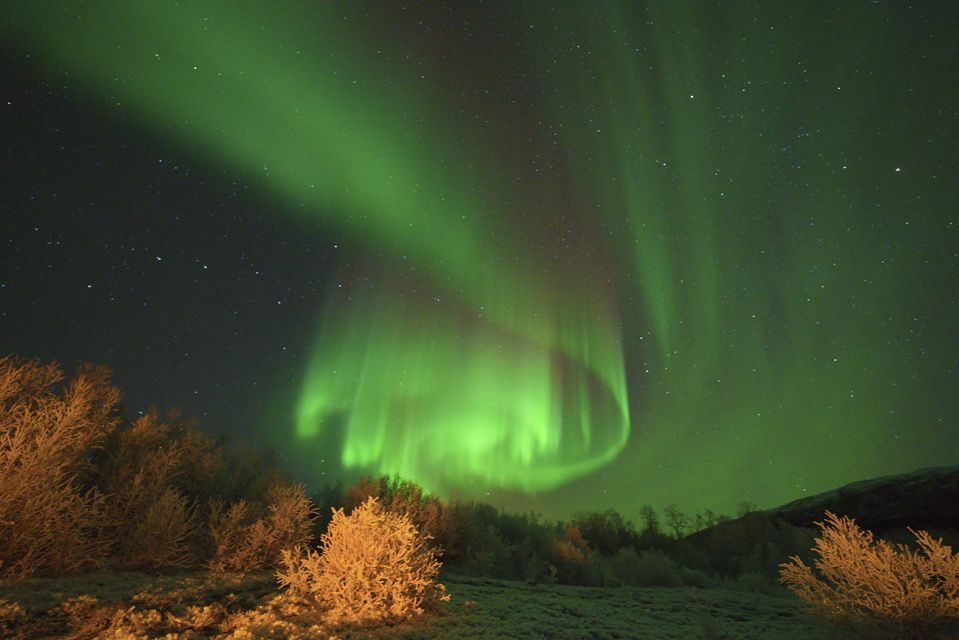 From Tromsø: Guided Northern Lights Photo Chase - Photography Assistance