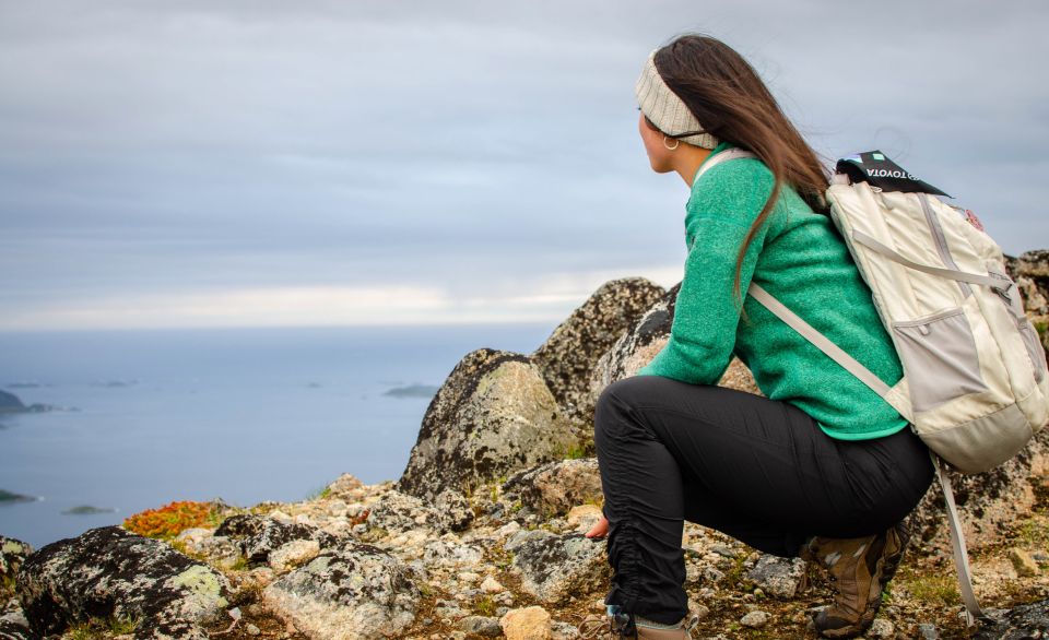 From Tromsø: Small Group Hiking Tour to Brosmetinden - Panoramic Views of Fjords