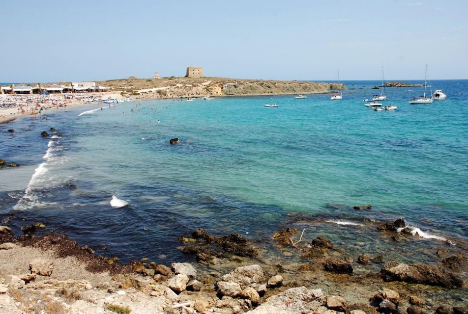 From Valencia: Tabarca Island - Highlights and Activities