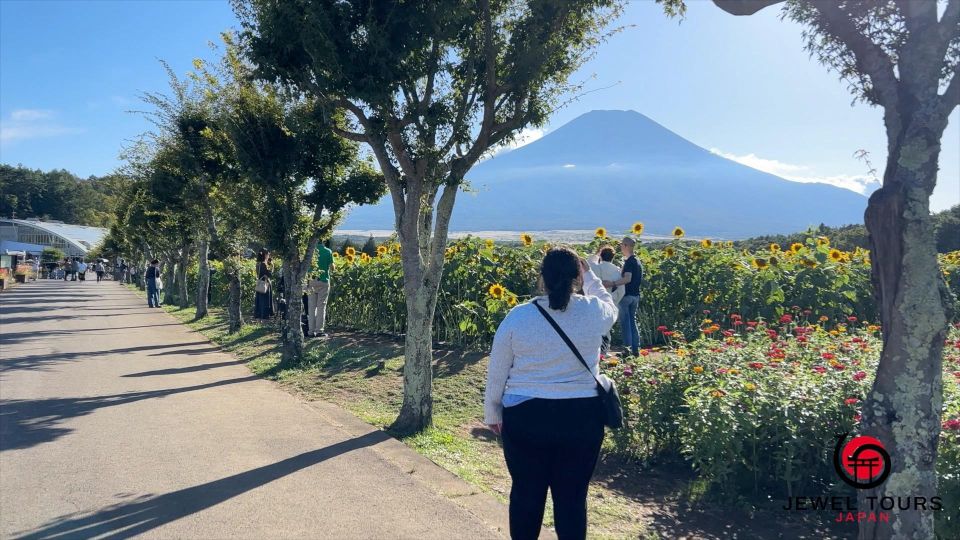 Fuji Yamanaka Lake. Oshino Hakkai and Local Noodles - Scenic Beauty and Tranquility