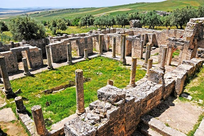 Full Day Dougga and Bulla Regia Private Tour With Lunch - Highlights of the Tour