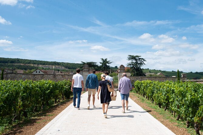 Full Day From Beaune: the Most of Burgundy, With Lunch - Meeting and Pickup