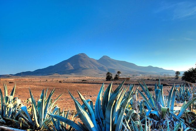 Full-Day Trip to Cabo De Gata Natural Park - Photography Opportunities