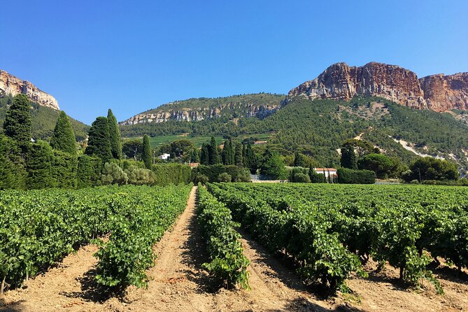 Full-Day Wine Tour Around Bandol & Cassis From Marseille - Reviews