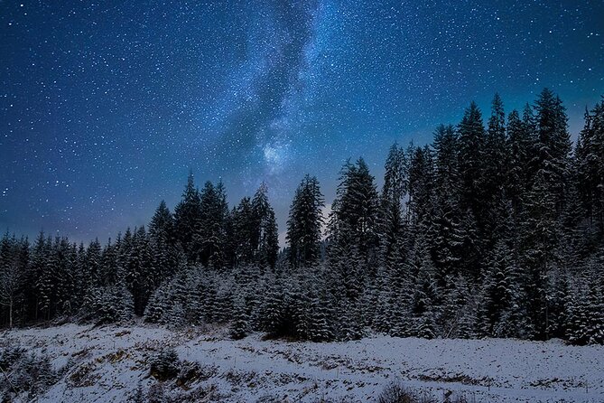 Full Moon Snowshoe Tour - Accessibility and Participation