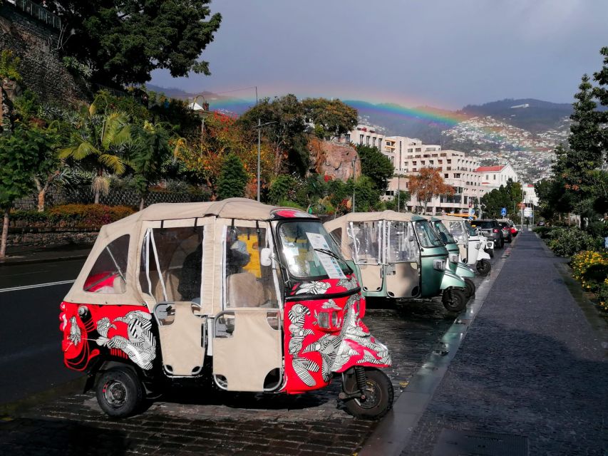 Funchal: Monte Tuk Tuk Tour to the Toboggans - Detailed Itinerary