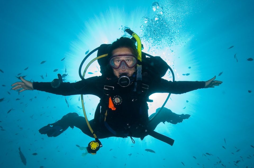 Funchal: Scuba Diving Experience for Beginners - Highlights of the Scuba Diving Adventure