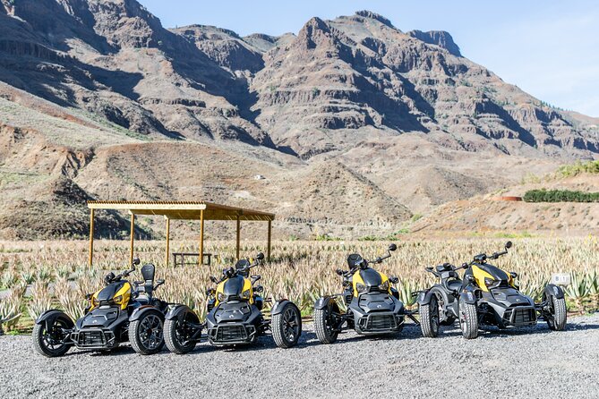 Gran Canaria Discover the Mountain Tour - Physical Requirements