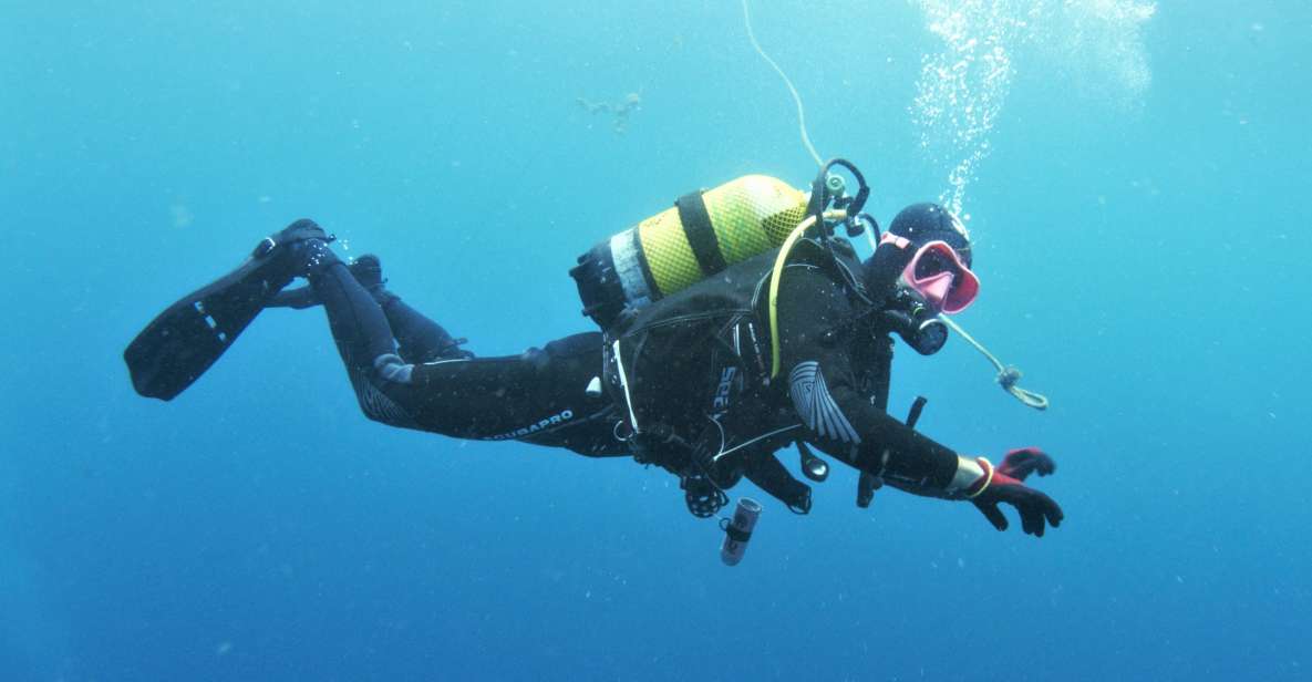 Gran Canaria: Morning Scuba Dive - Itinerary and Experience