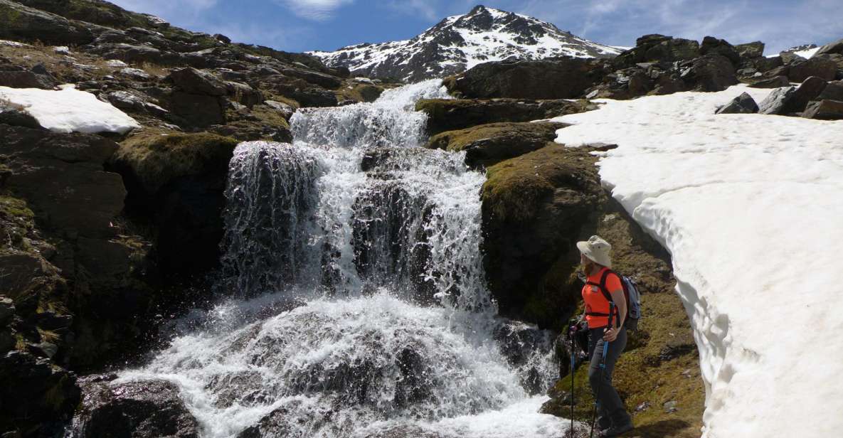 Granada: Sierra Nevada Guided Day Trip - Flora and Fauna Highlights