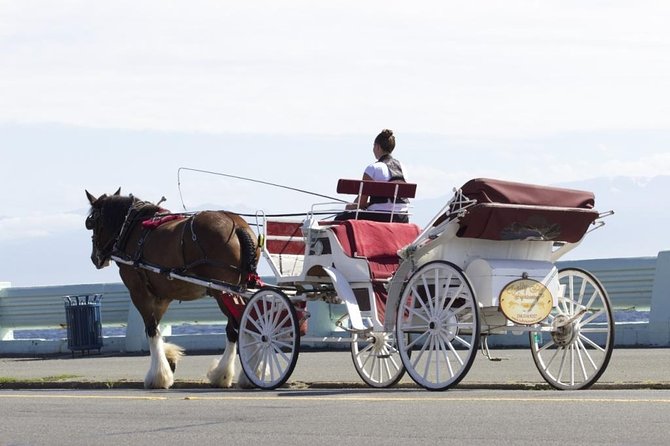 Grand Horse-Drawn Carriage Tour of Victoria - Tour Duration and Highlights