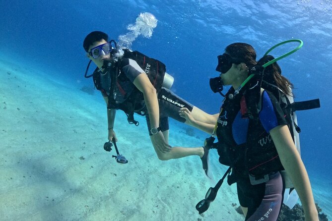 Guided Diving Experience for Padi OW in Red Sea and Sinai - Pickup and Transportation Details