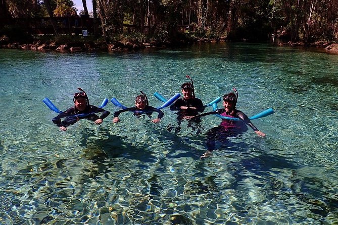 Guided Small Group Manatee Snorkeling Tour With In-Water Photographer - Inclusion Highlights