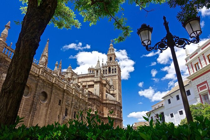 Guided Tour of Santa Cruz Jewish Quarter, Alcázar, and Cathedral - Visiting the Alcázar of Seville