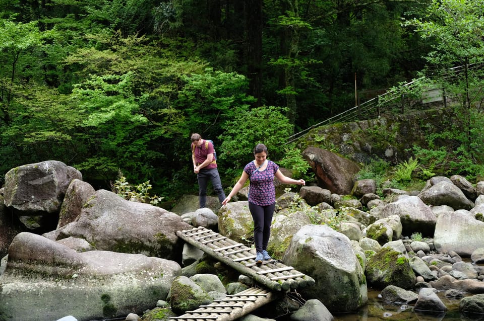 Hakone: Forest Bathing Hike Review - Energizing Amasake Drink