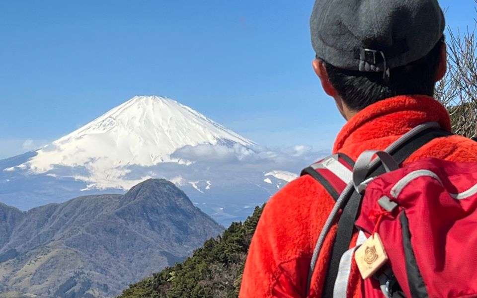 Hakone: Traverse the Hakone Caldera and Enjoy Onsen - Scenic Views