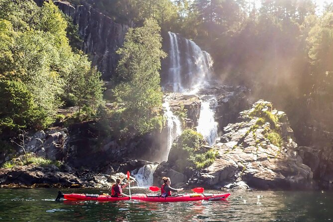 Half-Day Kayaking Lysefjord - Inclusions