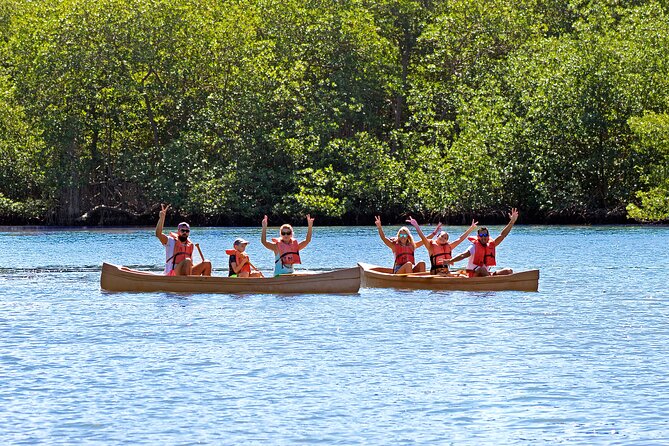 Half-Day Private Los Haitises Caves and Mangroves Canoe Tour - Reviews and Feedback