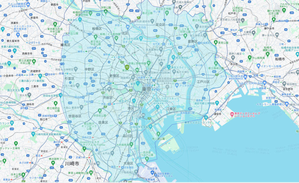 Haneda Airport (Hnd): Private One-Way Transfer To/From Tokyo - Age and Occupancy Restrictions