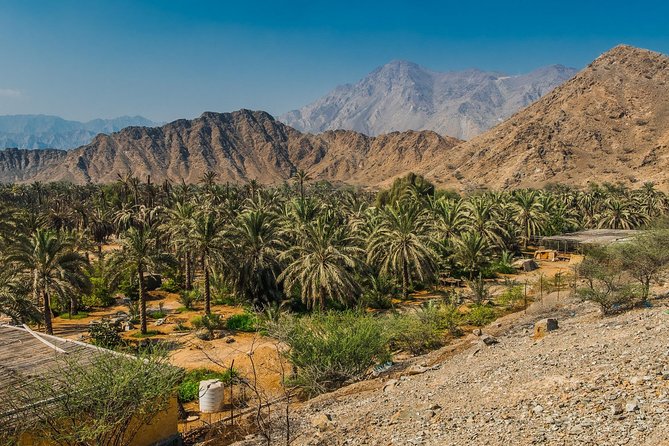 Hatta Mountain Adventure Tour - Inclusions