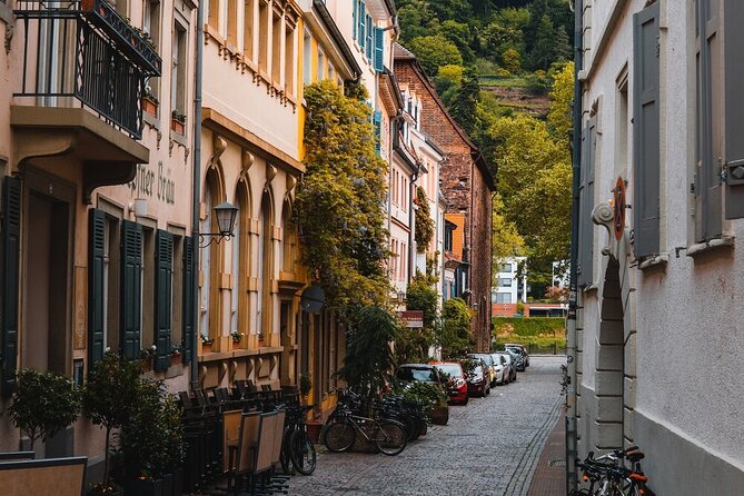 Heidelberg Castle and City Day Tour From Frankfurt - Visitor Experience