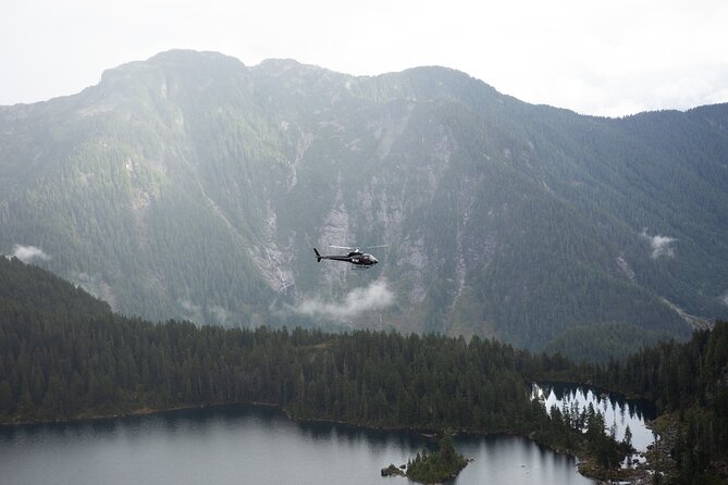 Helicopter Tours of BCs Backcountry (Depart YPK) - Tour Details