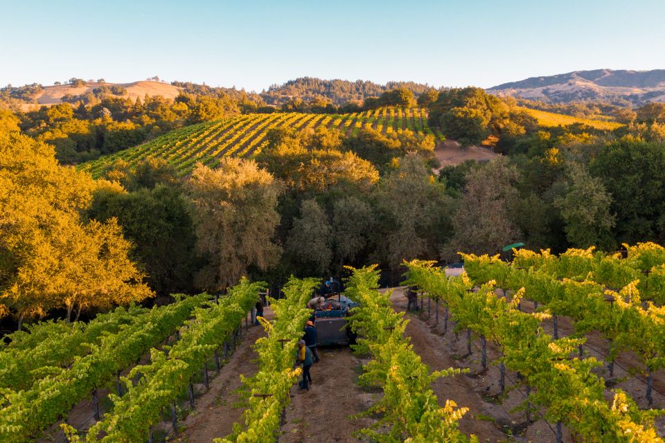 Heraklion: Half Day Semi Private Wine Tour With Tastings - Enjoy Peaceful Surroundings at Vineyard House