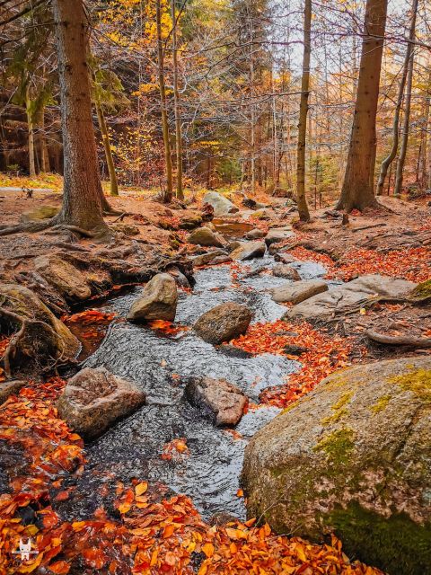 Hike in Polish Mountains: Day Trip to Rudawy Janowickie - Hiking Experience