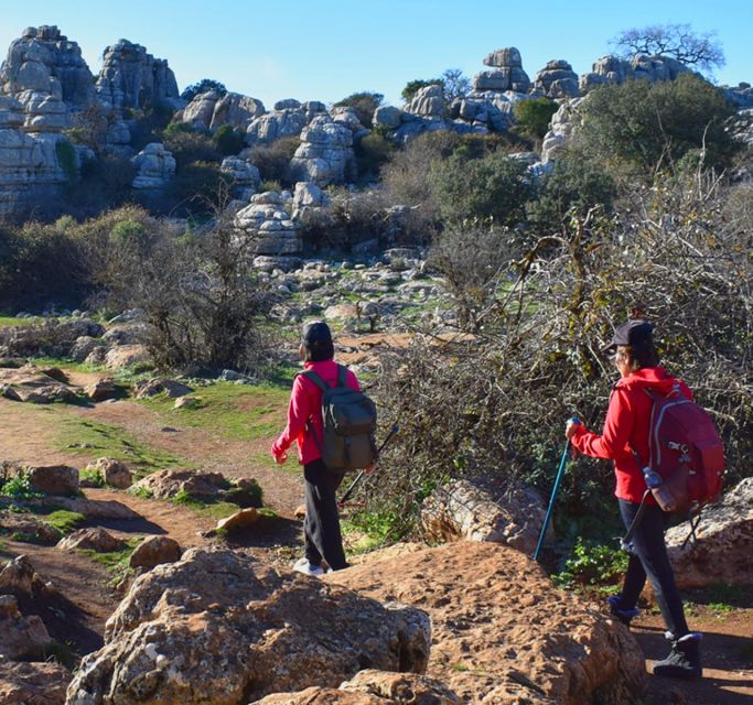 Hiking El Torcal De Antequera (From Granada) - Inclusions of the Tour