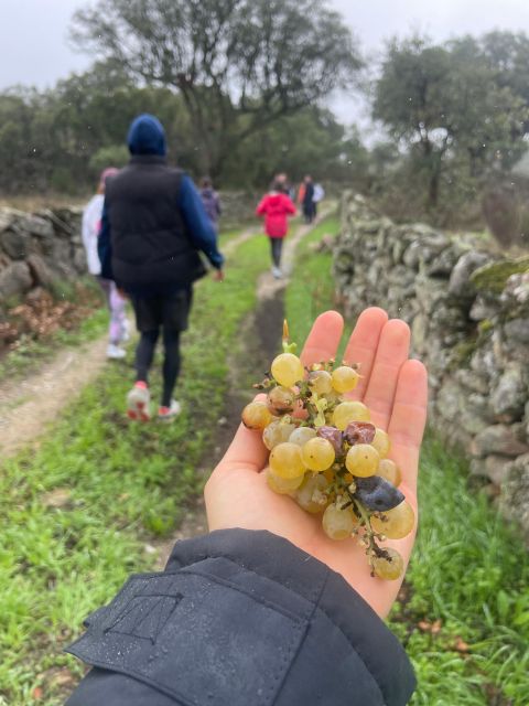 Hiking in Nature: Guided Paths Passing Through Marvão - Included Amenities