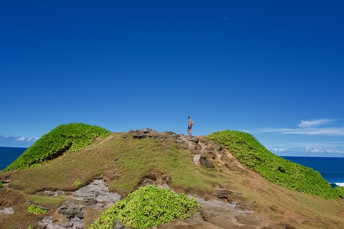 Hiking - The Wild South - Inclusions and Pricing