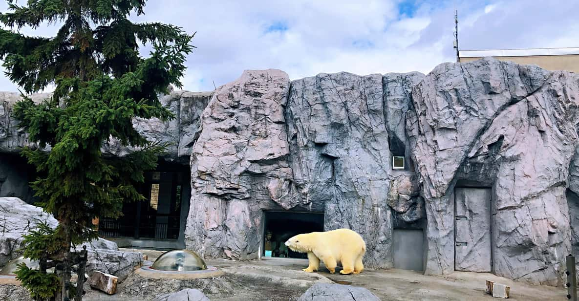 Hokkaido Asahiyama Zoo Tour Review - Tour Experience