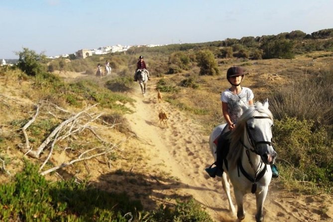 Horse Ride on the Beach in Essaouira - Meeting and Pickup