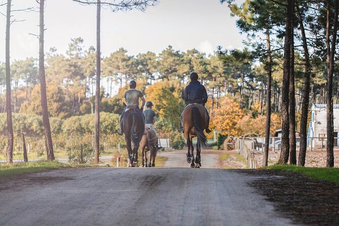 Horse Riding in the Countryside - Pricing and Confirmation