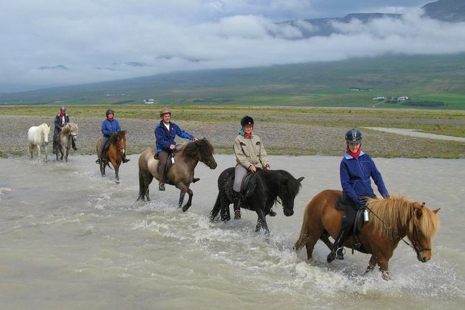 Horse Riding Tour to the Glacier River Delta With Waterfall - Physical Requirements