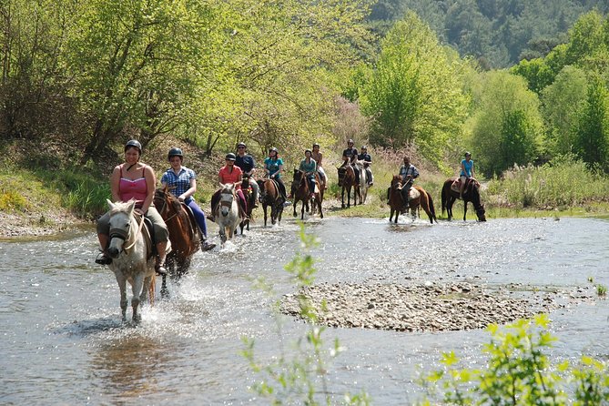 Horseback Riding Experience in Marmaris - Suitability and Restrictions