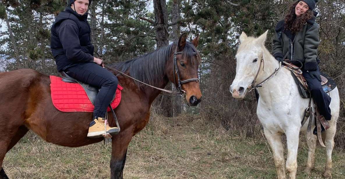 Horseback Riding Tour Near Prague - Horse Welfare and Safety