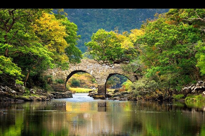 Innisfallen Island - Enjoy the Scenery & History of the Lakes of Killarney. - Highlights of the Boat Tour