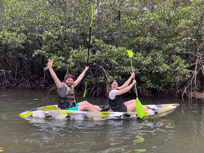 Iriomote Island: Mangrove River Canoe Cruising Tour - Ecosystem and Wildlife