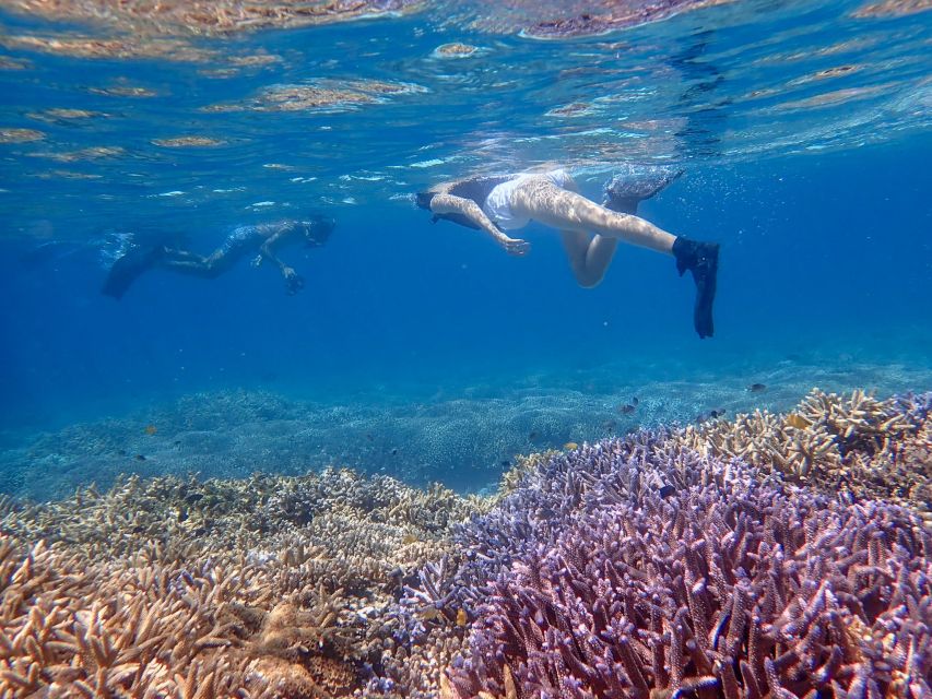 Ishigaki Island: Boat Snorkeling Tour at Phantom Island - Inclusions