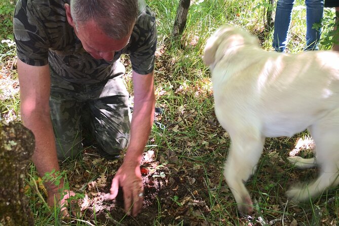 Istria - Truffles: Hunting & Cooking & Tasting, Slovenia - Truffle Cooking Demonstration