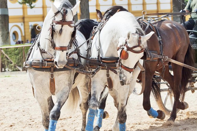 Jerez & Cadiz Winery With Tasting & Opt Horse Show From Seville - Exploring Historic Cádiz